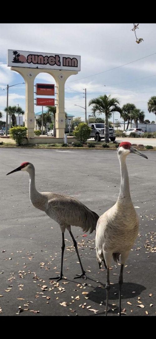 Sunset Inn- Fort Pierce, FL image 2
